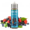 Vape Fest Shake & Vape Blues Berry 10 ml