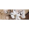 Samolepiaca bordúra Kvety BO5036 10,6cmx5m