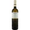 Pálava, výběr z hroznů, Tetur 2024 13,5% 0,75 l (čistá fľaša)