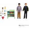 MATTEL Harry Potter a Ron na cestě expresem do Bradavic 194735138296