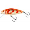 Salmo Wobler Perch Floating Albino Perch - 8 cm
