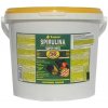 Tropical Spirulina Forte 36%, 11 l/2 kg