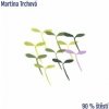 90% šťastie - Martina Trchová CD