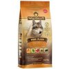 Wolfsblut Dog Active Wide Plain 12,5kg