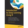 Introduction to Deep Learning Using R (Taweh Beysolow II)(Brožovaná)