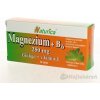 Naturica Magnezium 250 mg B 6 ginkgo Vitamín E 30 tabliet