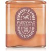 Paddywax Vista Redwoods & Amber vonná sviečka 340 g