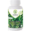 Moringa Caribbean Coenzyme Q10 & Curcumin 120 kapsúl