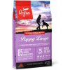 Orijen Dog Puppy Large 6kg