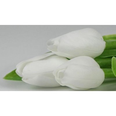 Kristian Samson Tulipán kus 40cm biely F244-W1 - Umelé kvety