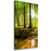 Vertikálny foto obraz na plátne Prameň v lese 50x100 cm