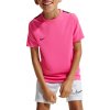 Tričko Nike Dri-FIT Strike Training Kids io1938-684 Veľkosť S (128-137 cm)