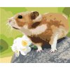 ZUTY Maľovanie podľa čísel ŠKREČOK NA KAMENI Rámovanie vypnuté plátno na rám Rozmer 80x100 cm