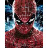 Diamondi Diamantové maľovanie - PORTRÉT SPIDERMAN Rámovanie: bez rámu a bez vypnutia plátna, Rozmer: 40x50 cm