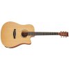 TANGLEWOOD TR5CE