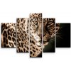 Sablio Obraz - 5-dílný Leopard - 125x90 cm