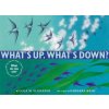 What's Up, What's Down?