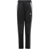 Tepláky adidas Tiro 24 Winterized Jr IM9975