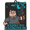 LEGO Harry Potter magnetka