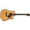 Furch Vintage 3 Dc-SM CNR Active