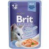 Brit Premium Cat Delicate Fillets in Jelly Salmon 85 g