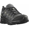 Salomon X Braze Gtx 471805 trekingová obuv