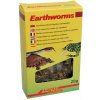 Lucky Reptile Earthworms 10 g FP-67832