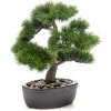 Umelý Bonsai Borovicei v kvetináči, 32cm