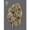 The Bulldog Seeds TB Gelato Auto, 3 a 5 ks 5 ks