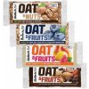 Biotech USA Oat & Fruits 70g Čučoriedka