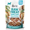 Brit RAW TREAT Skin & Coat. Freeze-dried treat and topper. Fish&Chicken 40 g