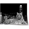 Sablio Plagát Mestský tiger - 90x60 cm