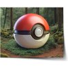 Sablio Plagát Pokemon ball Les - 90x60 cm