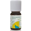 HANUS Kosodrevinová silica 10 ml