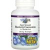 Natural Factors Super Strength Blueberry Concentrate 500 mg - 90 kapsúl
