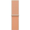 Apple Watch 40mm Cantaloupe Sport Loop