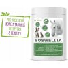 Dromy Boswellia Forte 750 g