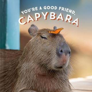 You\'re a Good Friend, Capybara