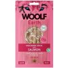 Woolf Dog Earth NOOHIDE S Salmon 90 g