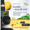 Kamil - malíř snů - Markéta Vítková