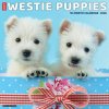 Westie Puppies 2026 12 X 12 Wall Calendar (Brožovaná)