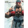 Street Fighter IV & Super Street Fighter IV: Official Complete Works