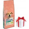 Purina Dog Chow Adult Light Turkey 14 kg + prekvapenie pre psa ZDARMA!
