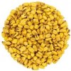 Svět plodů Kukurica pražená solená váha 5kg