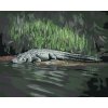 ZUTY Maľovanie podľa čísel - ALIGÁTOR LEŽIACI PRI VODE V (D. RUSTY RUST) Rámovanie: vypnuté plátno na rám, Rozmer: 80x100 cm