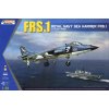 Kinetic BAe Sea Harrier FRS.1 1:48