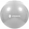 Springos Fit lopta 75cm FB0008