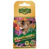 Plantacote 6M - pyramídy 10x7g 6 mesačné hnojivo
