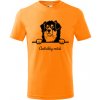 T-ričko Austrálsky ovčiak, detské tričko s vlastným textom Farba trička: Oranžová, Farba potlače: Čierna, Veľkosť: 122 cm/6 rokov