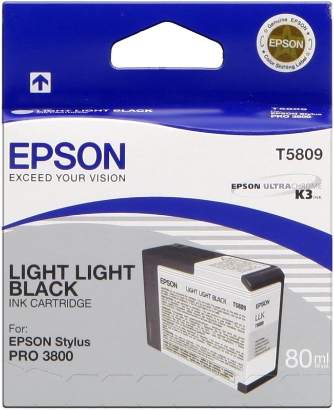 Epson T5809 Light Light Black - originálny